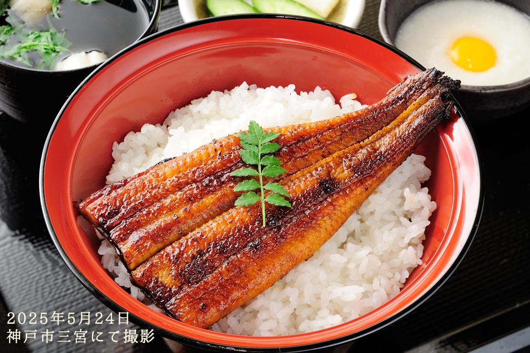 2025年5月24日　神戸市三宮にて撮影した うなぎ丼