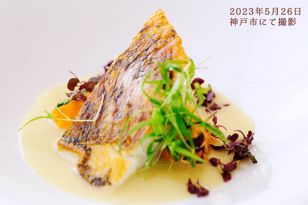 2023年5月26日　神戸市内にて撮影したフレンチの魚料理