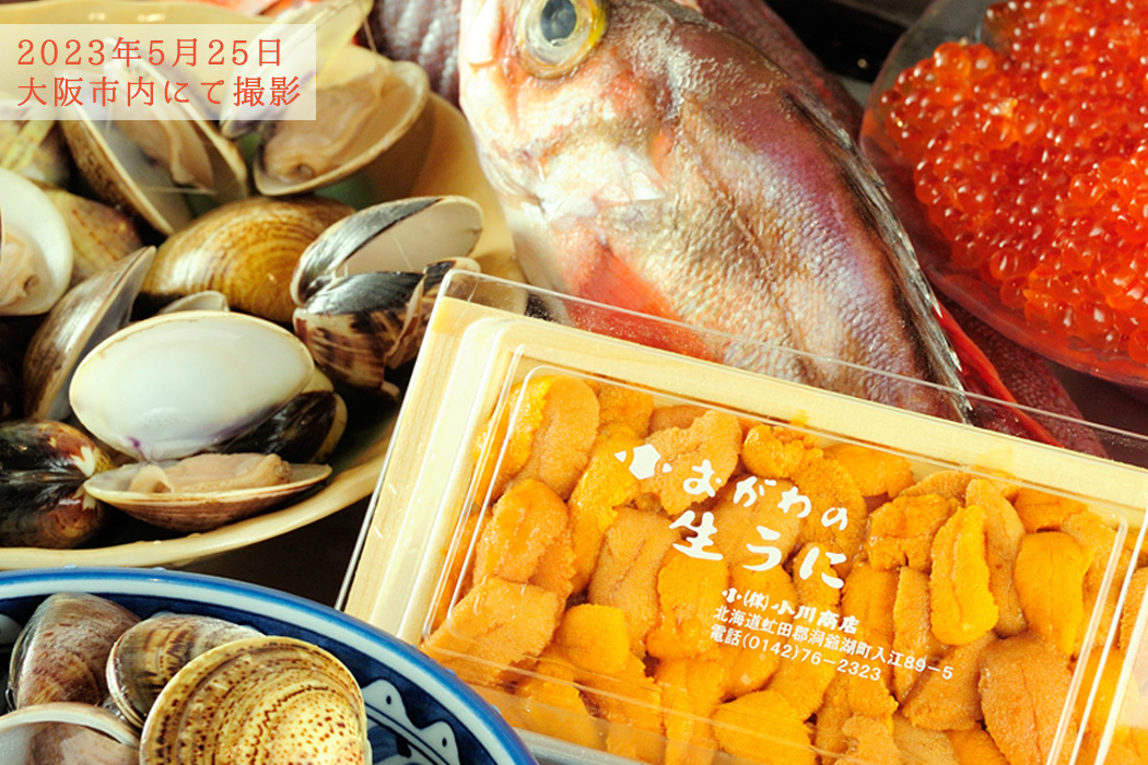 2023年5月25日　大阪市内にて撮影した海鮮の食材