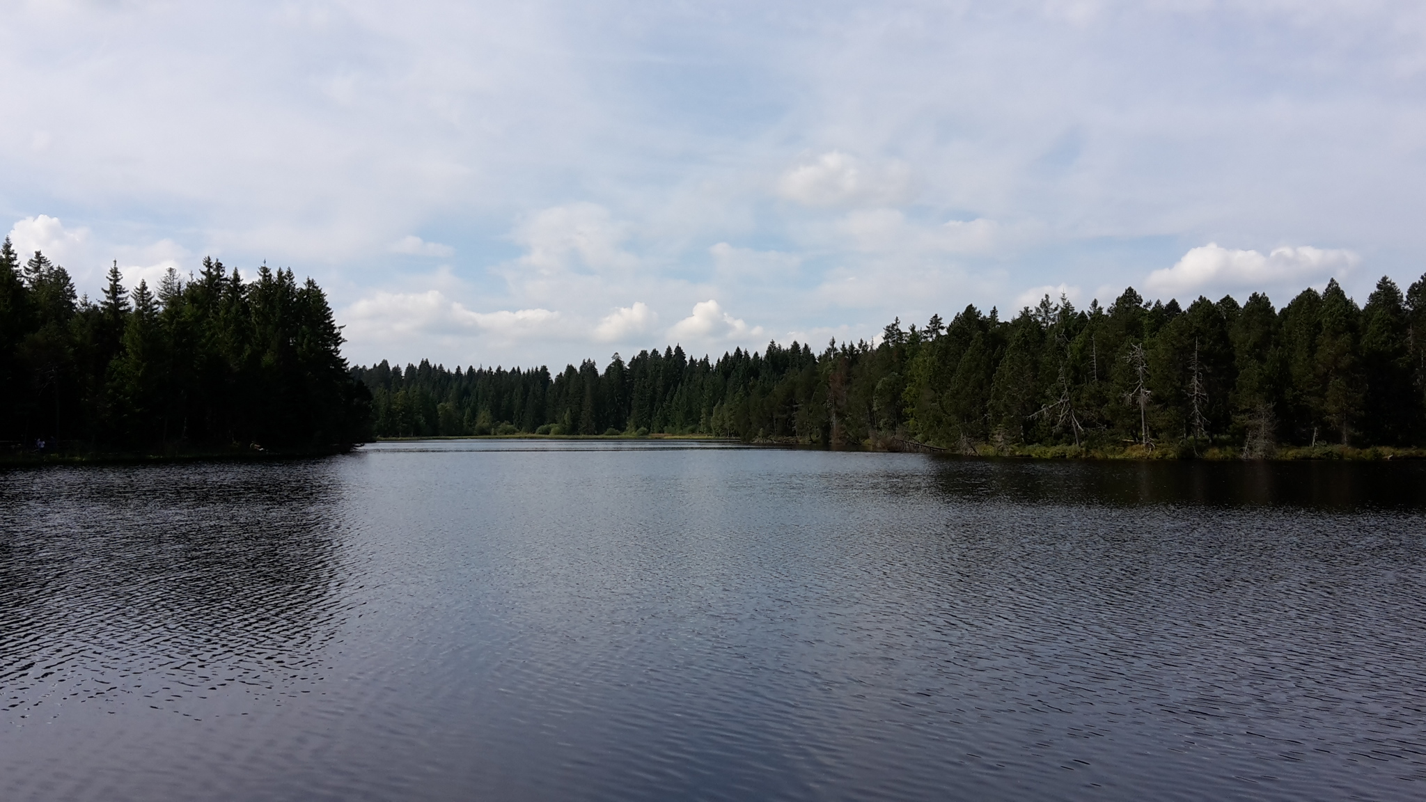 Wandertag am Étang de la Gruère - September 2016