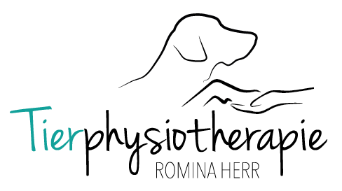 Tierphysiotherapie Romina Herr Hundephysiotherapie in Burbach