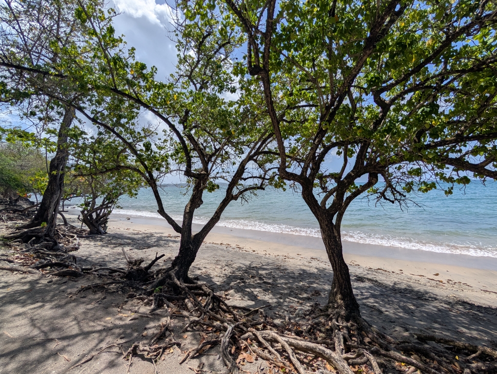 Plage Gros Raisin bei St. Luce