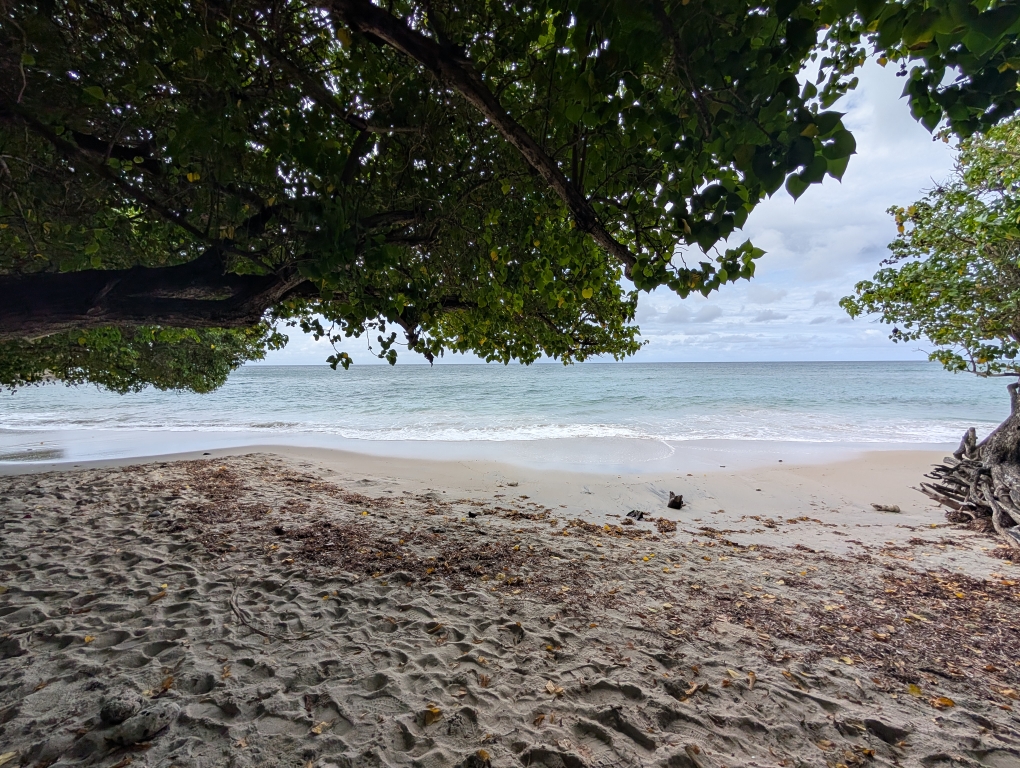 Plage de Sainte Luce
