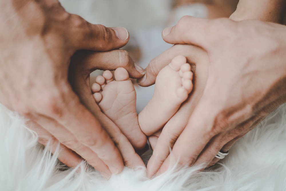 Die kleine neue Familie braucht am Anfang Zeit um sich kennen zu lernen