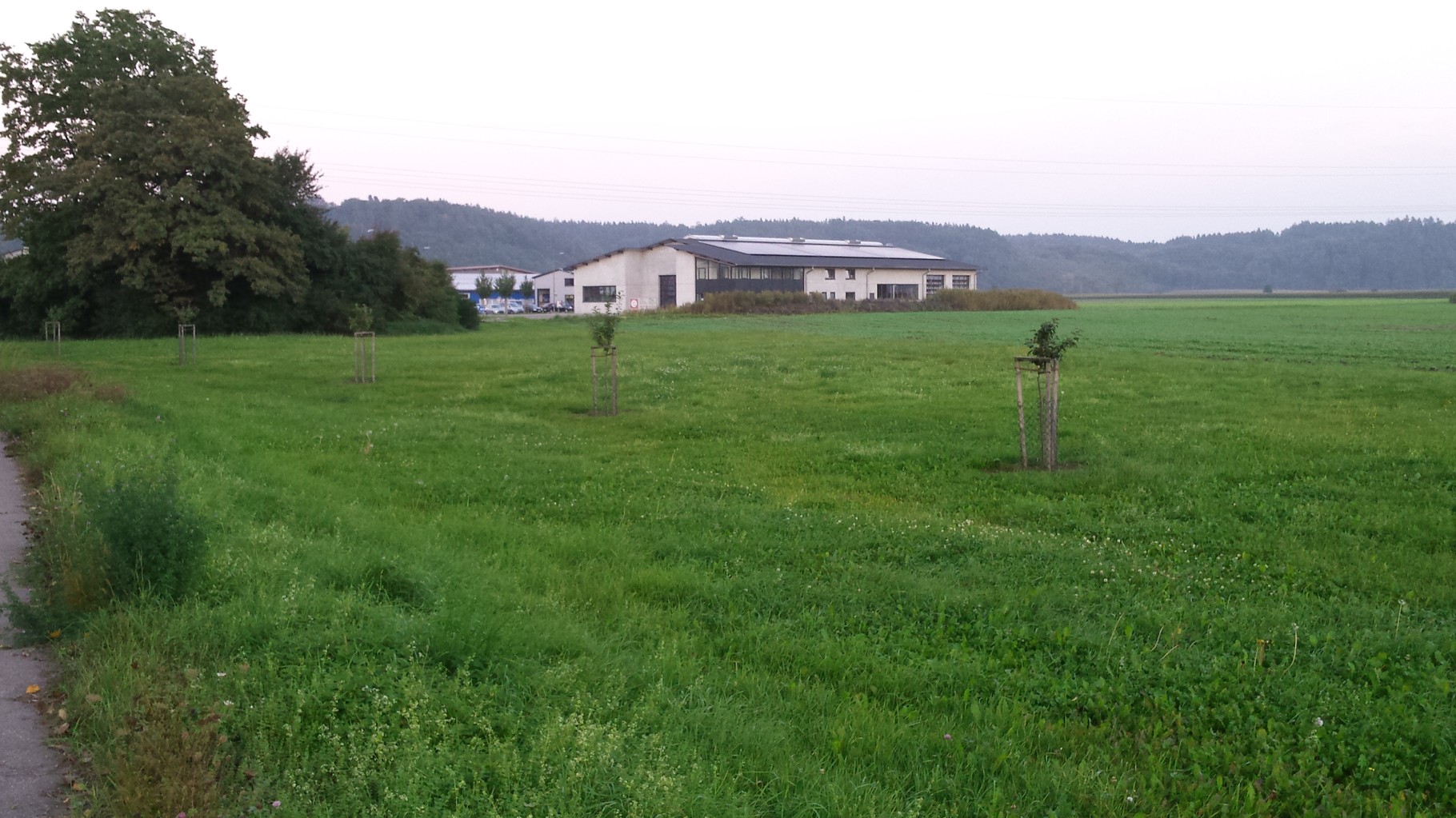 Gewerbegebiet Sand Gartenbauverein Todtenweis