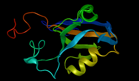 Protein analysis and structure prediction visual