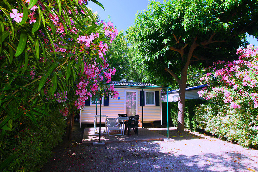 MOBILE HOME CATALANE