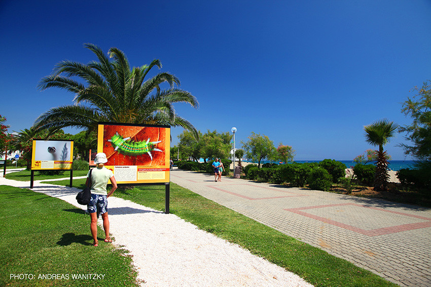 EXPOSITION LES ENFANTS DE LA MER