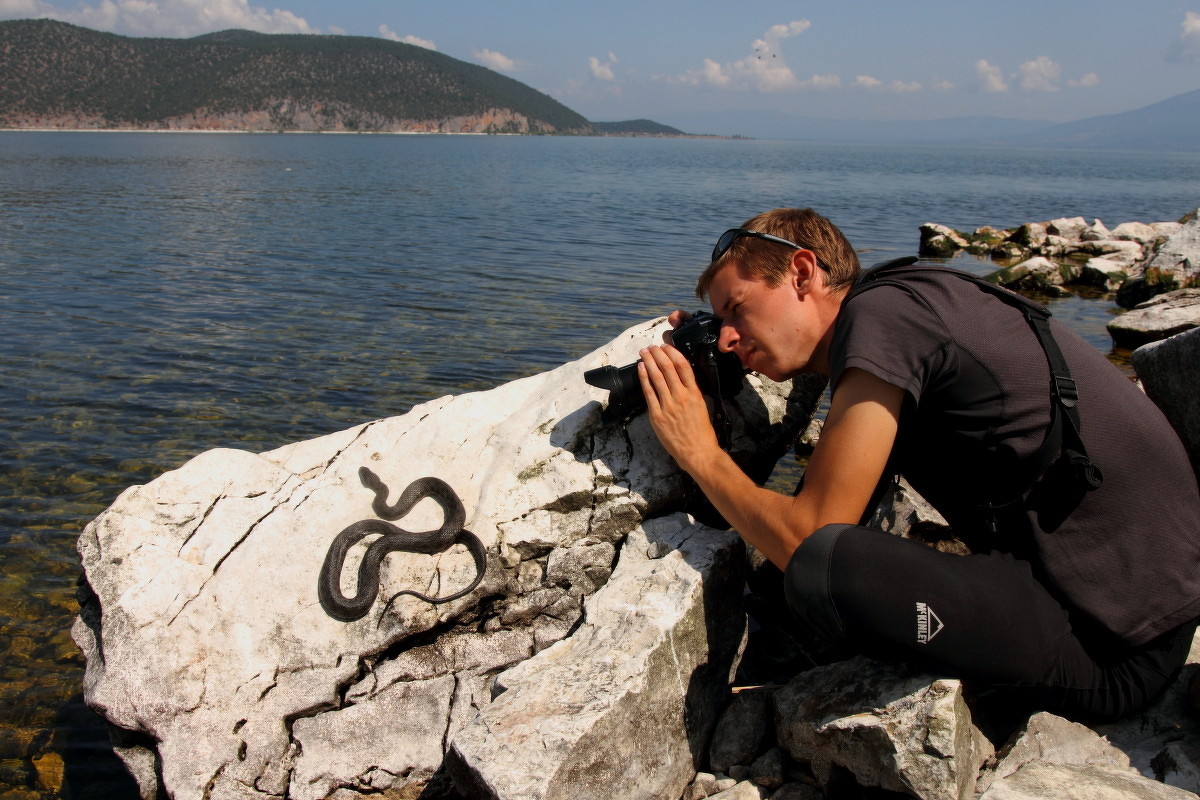 2014 : Photographiant une Couleuvre tessellée en Macédoine