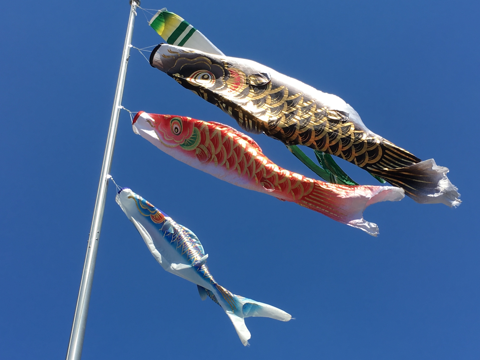 GW休業のお知らせ
