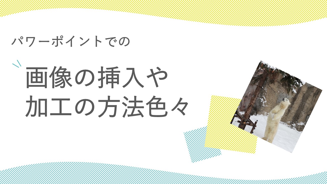 パワーポイントで画像を編集！挿入・トリミング・背景削除を解説