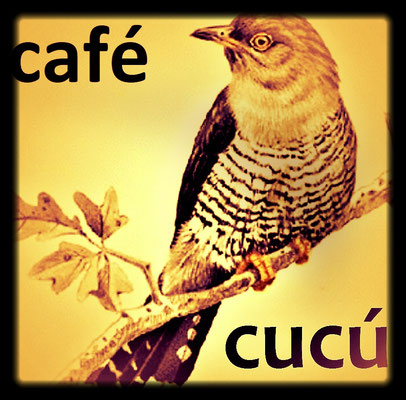 12.08.2023 Cafe CUCU, Siegen