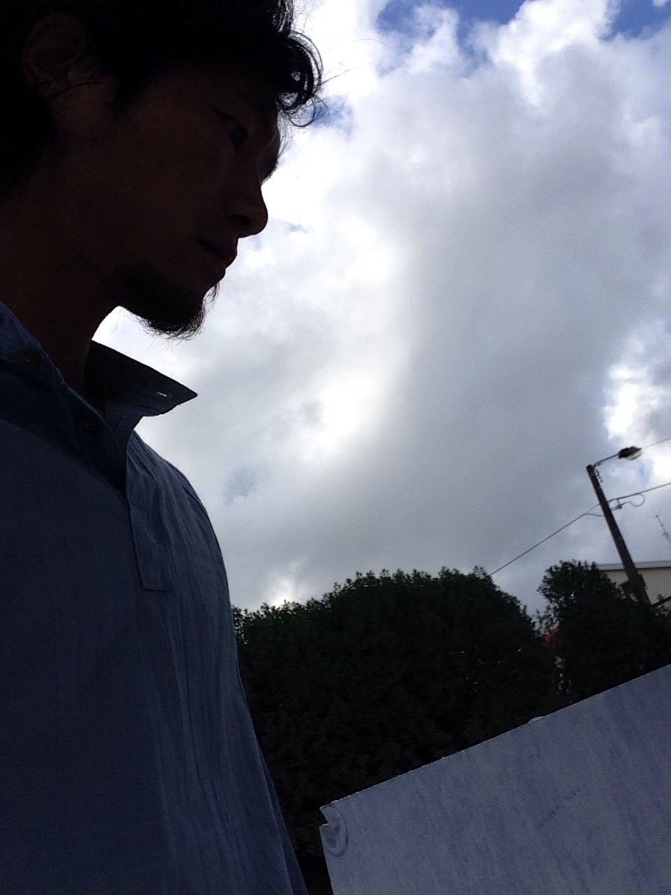 Sample avatar