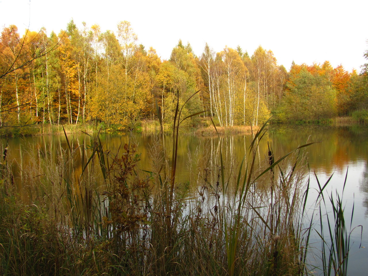 Moorlandschaft (© Claus Lampe)