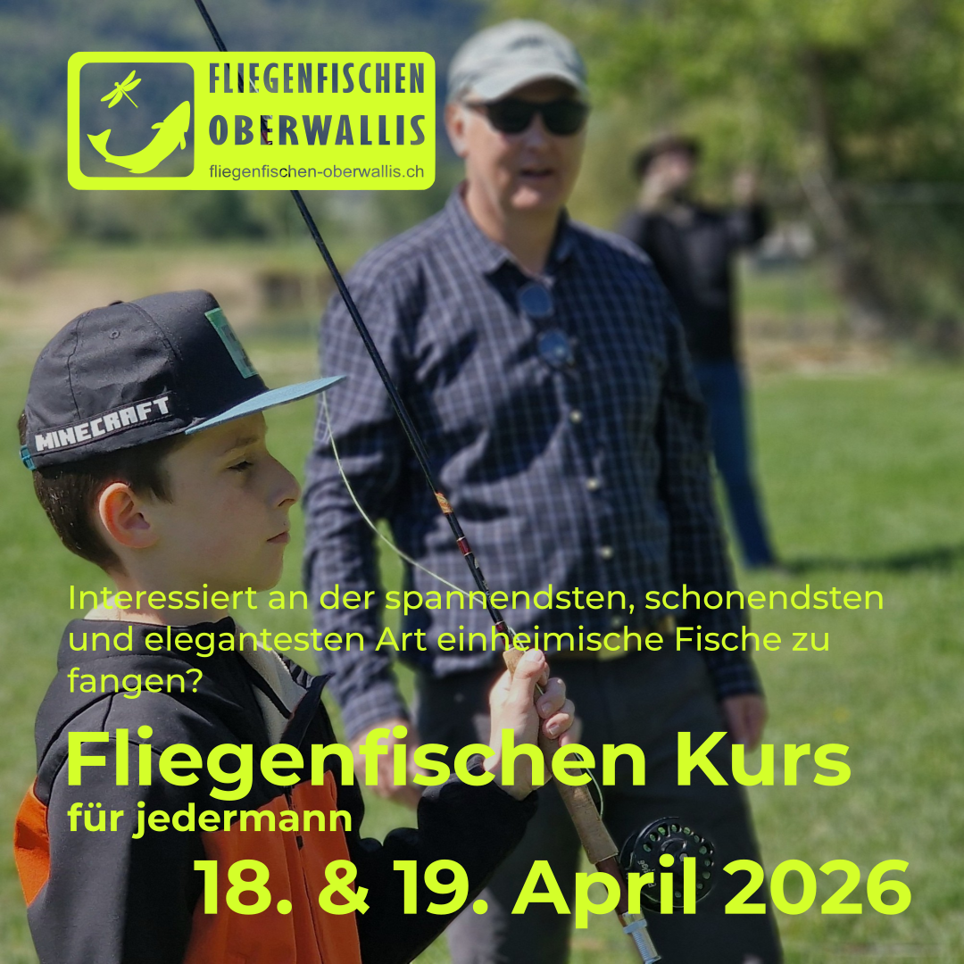 Fliegenfischen Kurs