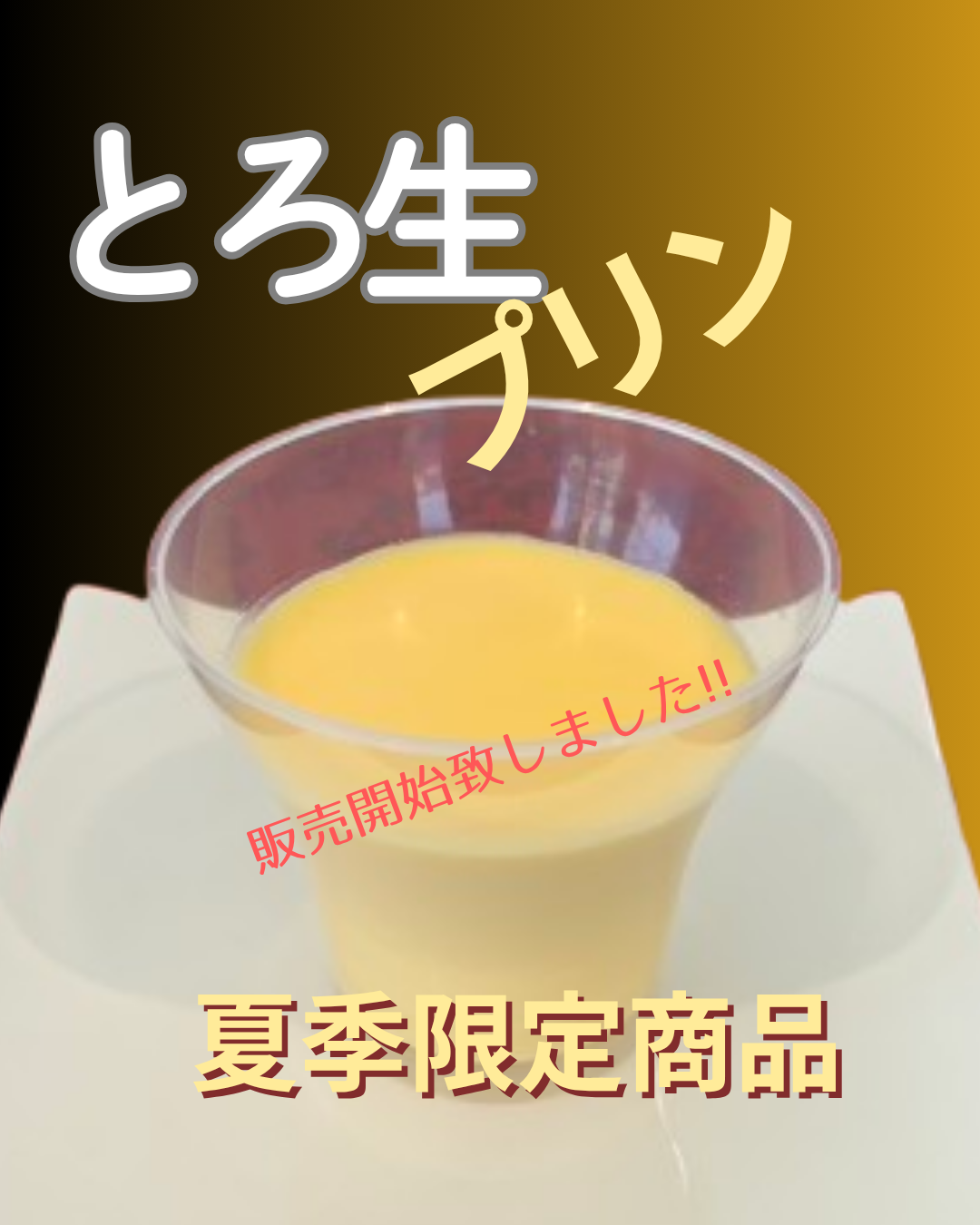 夏季限定販売開始!! 究極のとろ生プリン・チョコプリン