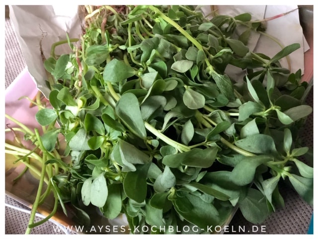 Rezept tuerkischer Salat Portukal l Portulak Salat mit Joghurt