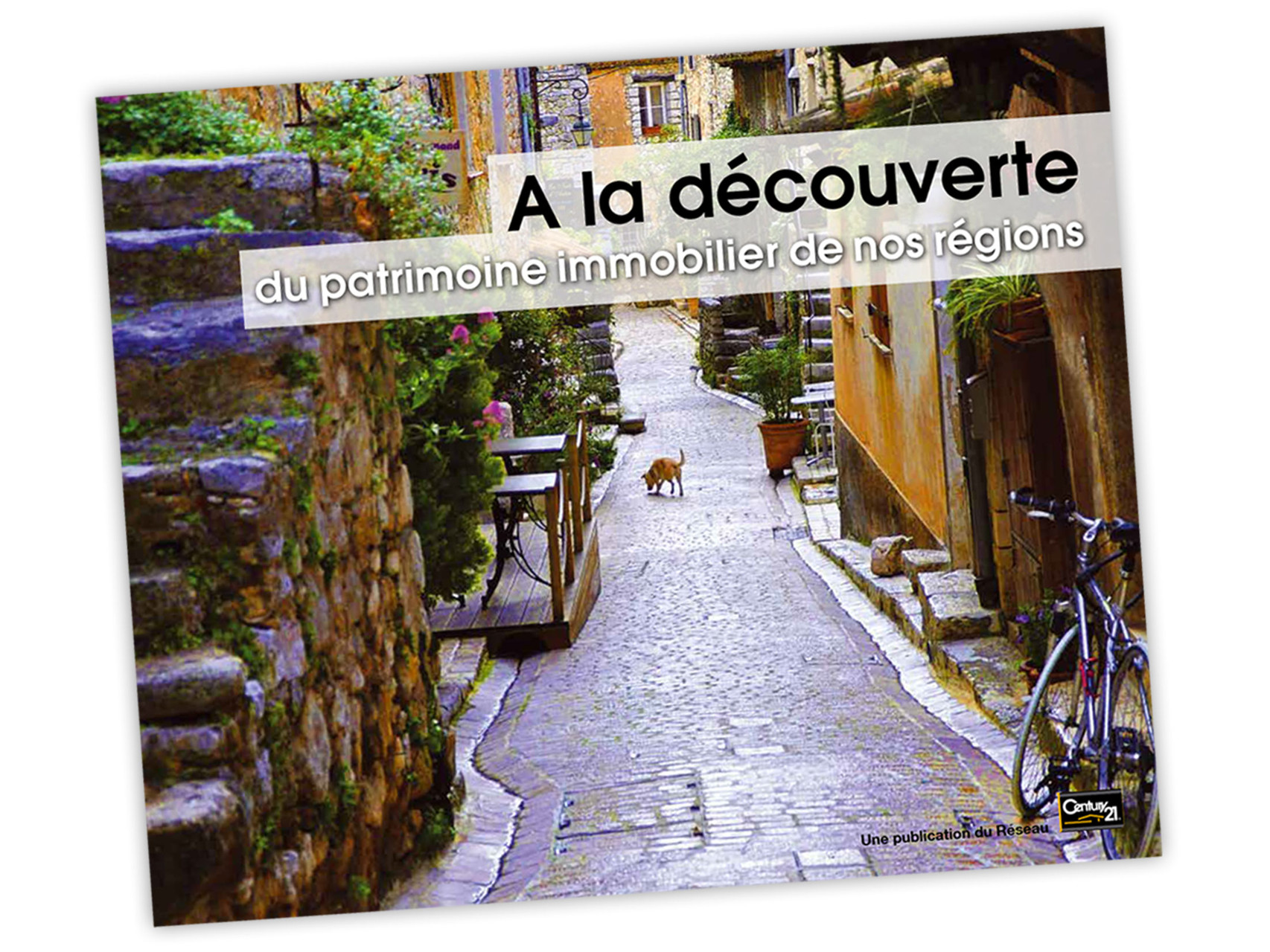Mise en page et réalisation Century 21 - Tour de France des styles architecturaux