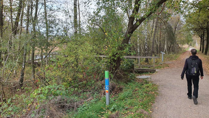 Gagelmoorpfad im Naturpark Schwalm Nette