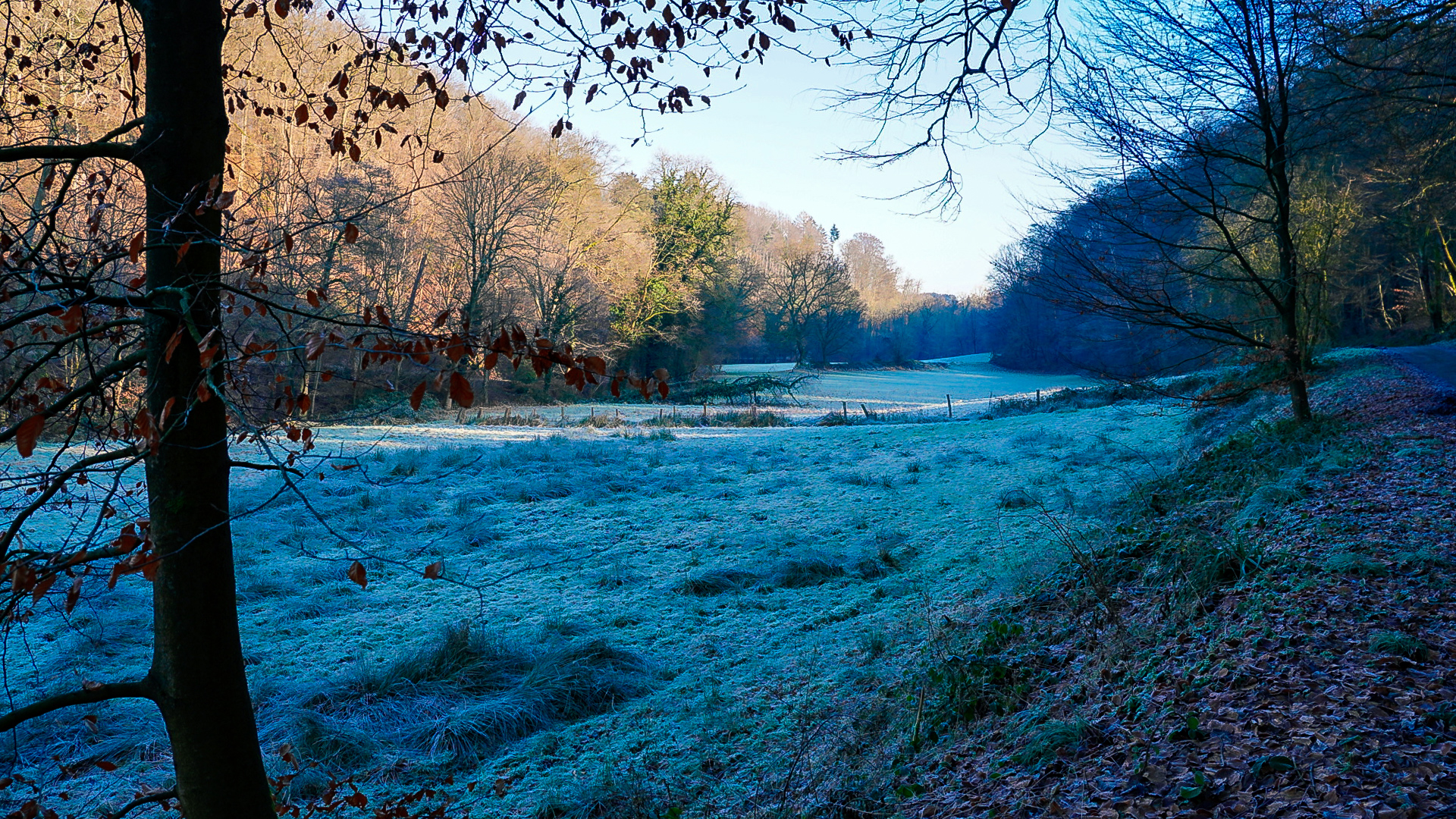 Idyllisches Weltersbachtal bei Leichlingen