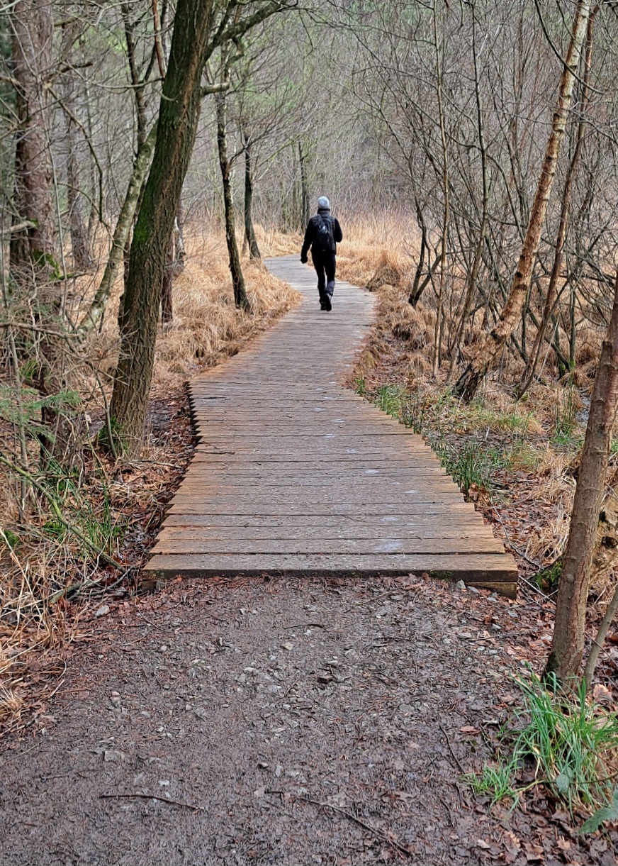 Wanderung im Birgeler Urwald