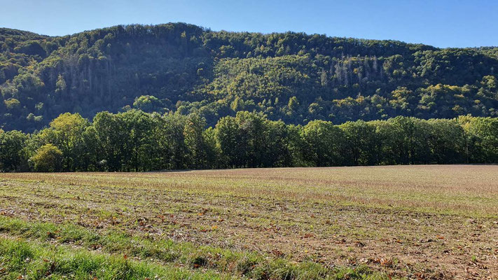 Obermaubachstausee/Nideggen