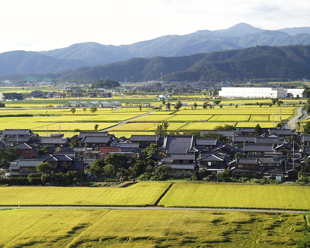 姉川左岸土地改良区 沿革 - anegawasagan ページ！