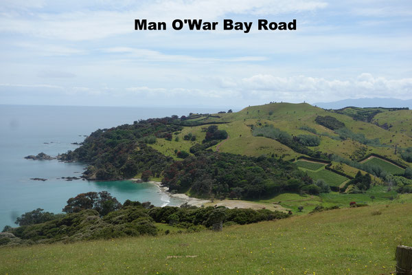 Man O'War Bay Road Waiheke Island