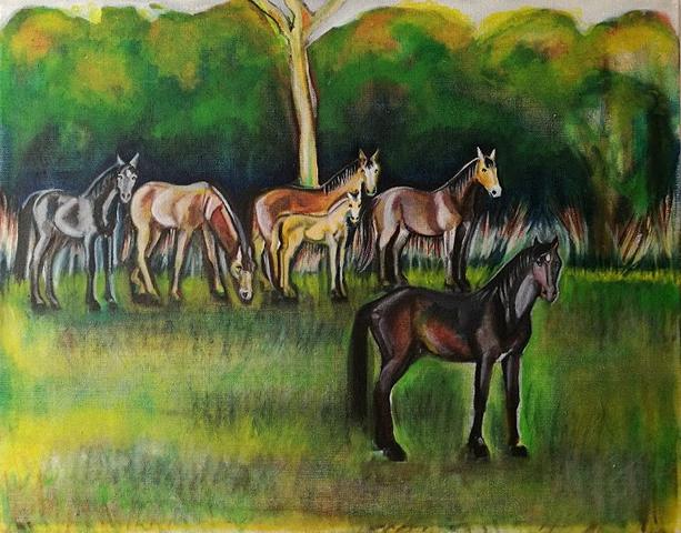 Australian Wild Horses, oil on canvas, 63 x 80 cm, 2017