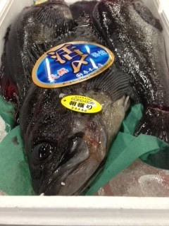 函館春木水産,活〆黒そい