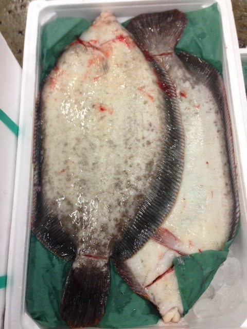 カレイの王様 豊洲市場の仲卸 山治 やまはる のホームページ Toyosu Yamaharu Tokyo Japan