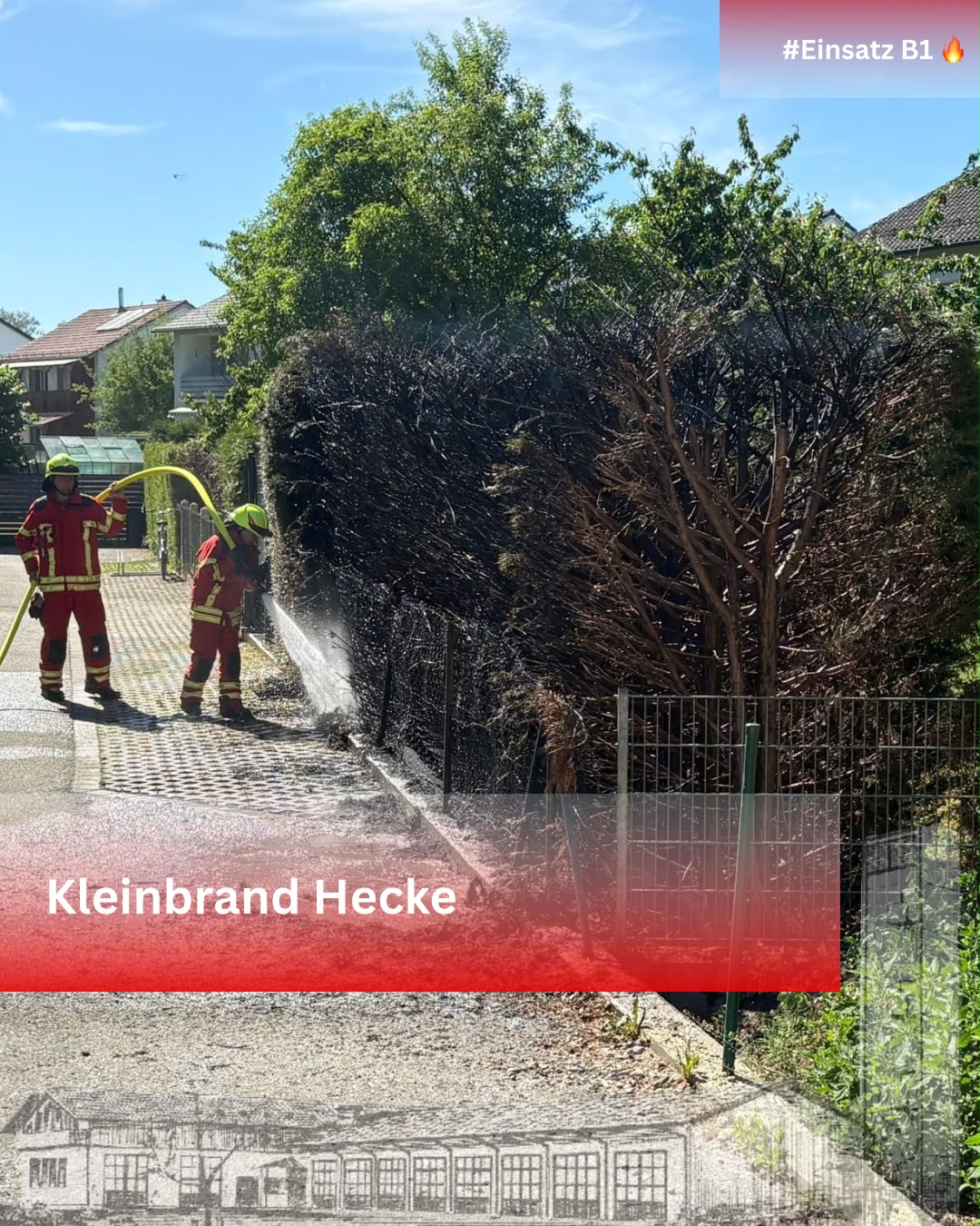 B1 Kleinbrand Hecke