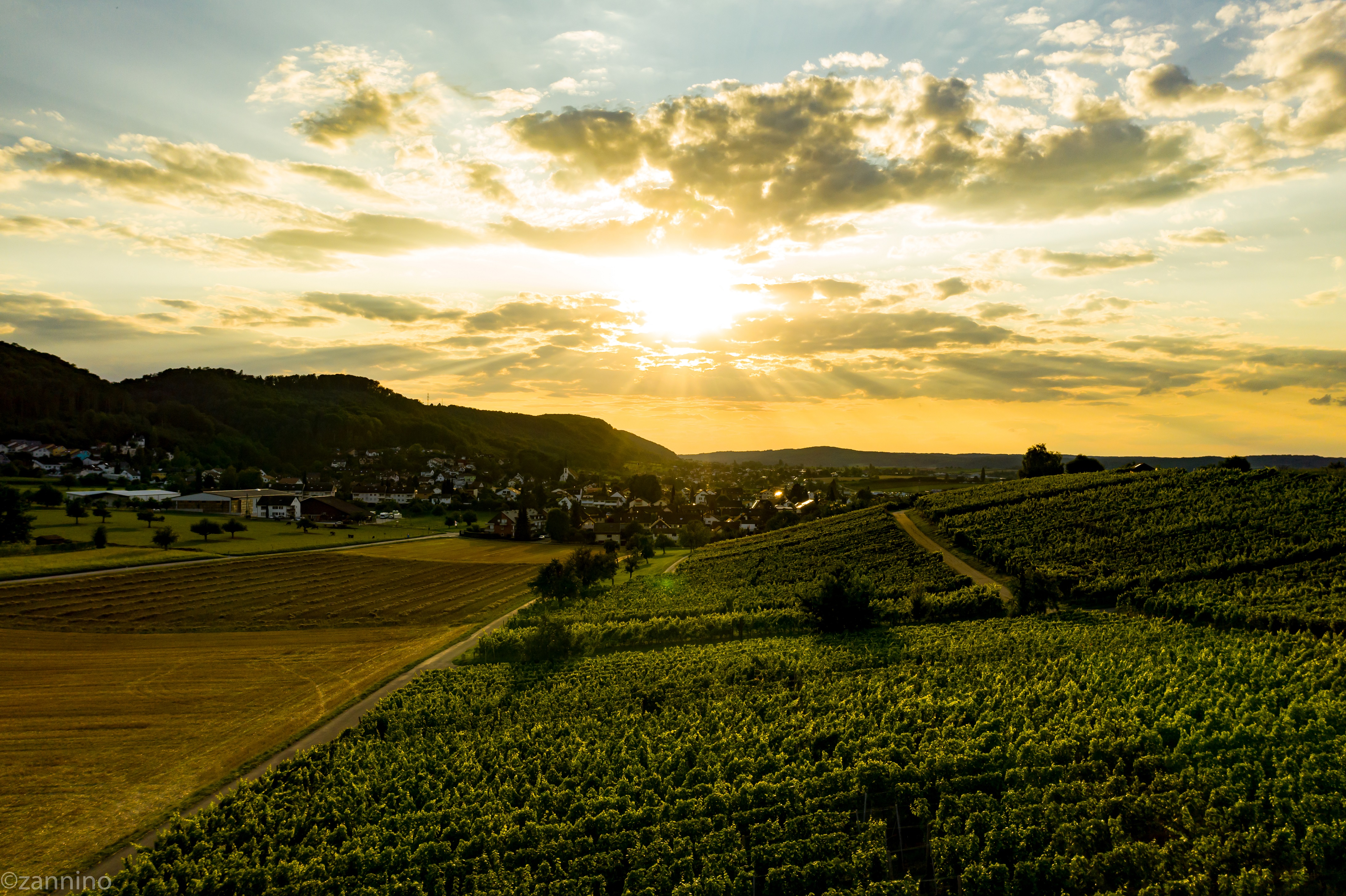 Copyright Thueringambrosweinbau.ch (c) Thueringambrosweinbau.ch