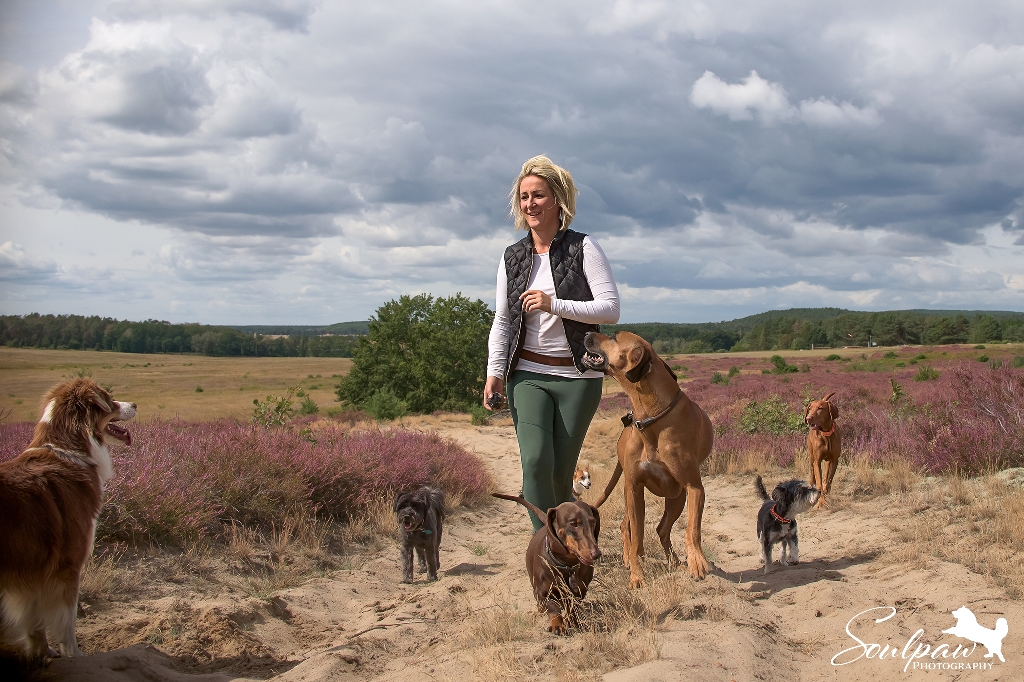 Dogwalking und Hundebetreuung Gruppenbetreuung Potsdam