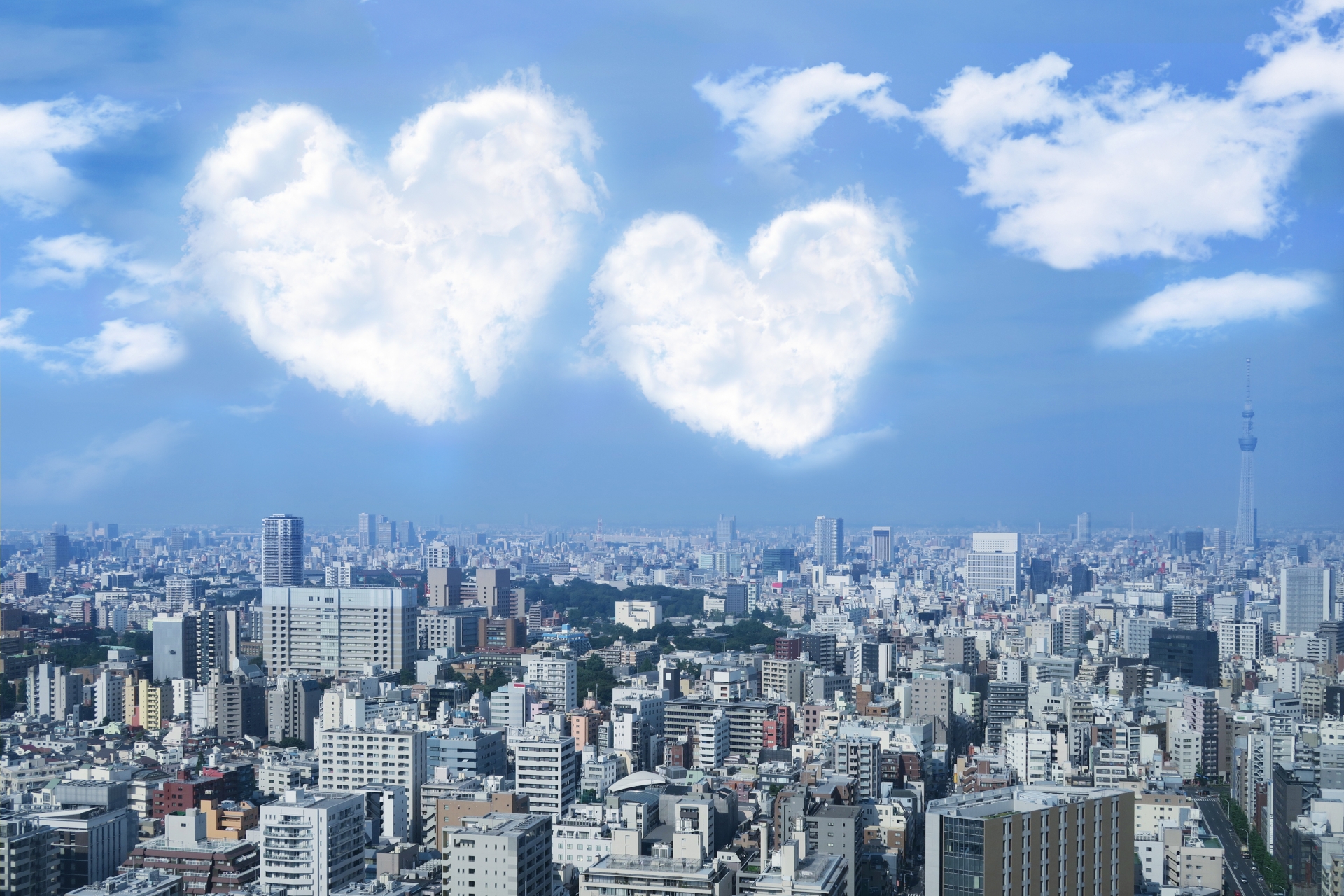 民事信託でできること