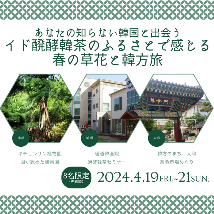 【レポート】あなたの知らない韓国と出会う  イド醗酵韓茶のふるさとで感じる  春の草花と韓方旅