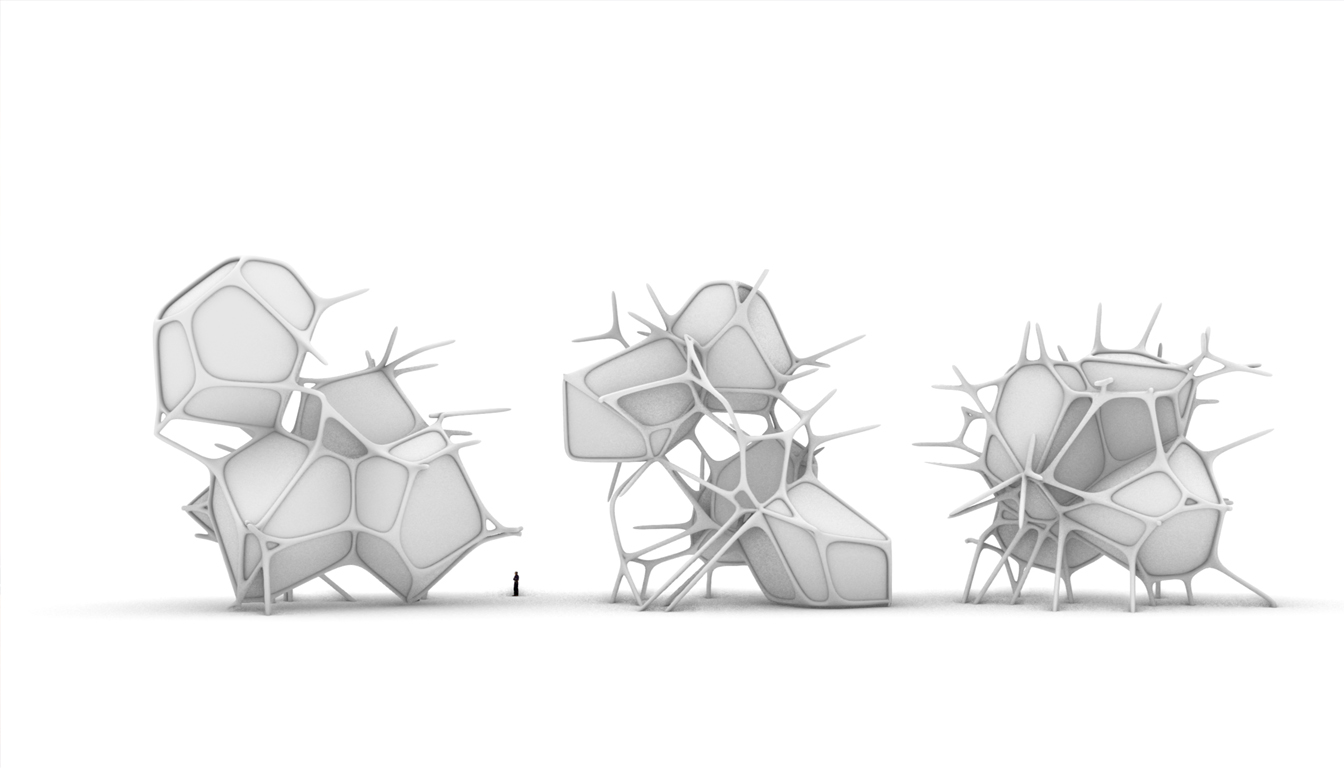 Biomorphic Structures 2025