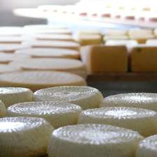 Käse und Geflügel