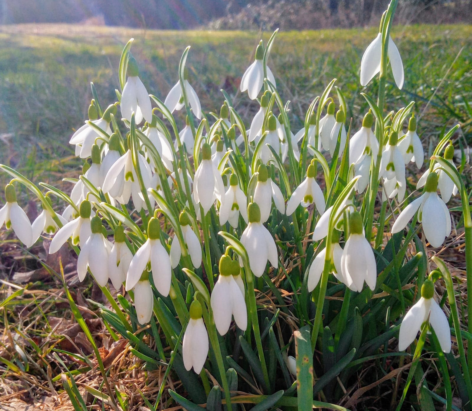 Der Frühling steht vor der Tür!