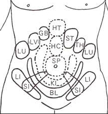 le HARA - diagnostic & traitement en shiatsu