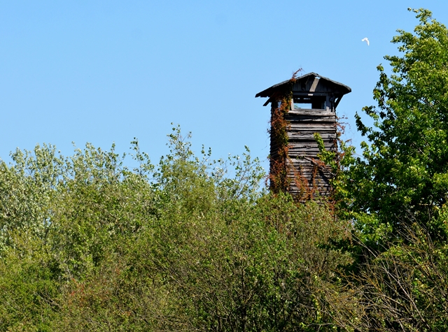 111 Alter Beobachtungsturm in der Wagbachniederung