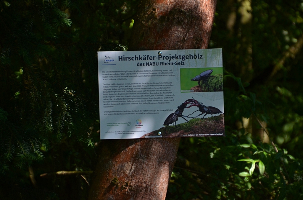 Das erste Projektschild ist angebracht!