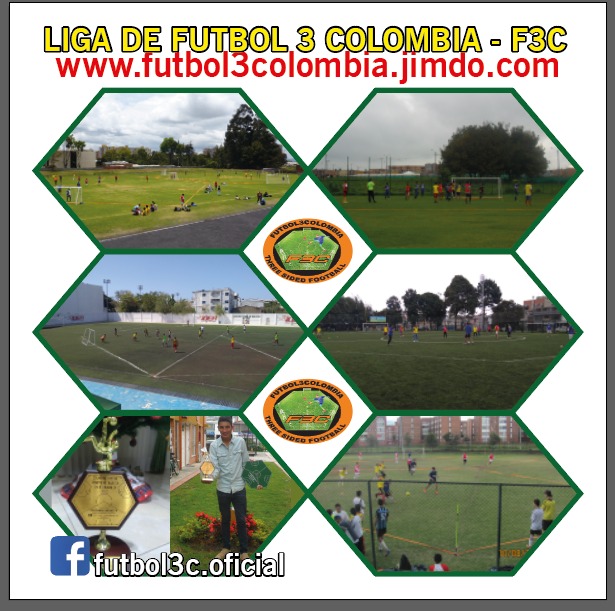 TORNEOS FUTBOL 3 COLOMBIA EN 2013