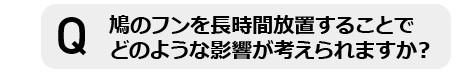 鳩のフンを長時間放置することでどのような影響が考えられますか?