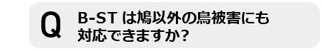 B-STは鳩以外の鳥被害にも対応できますか?
