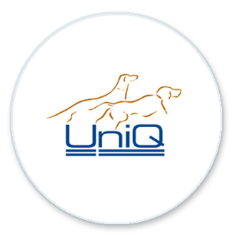UniQ Moments / UniQ Nordic Gold