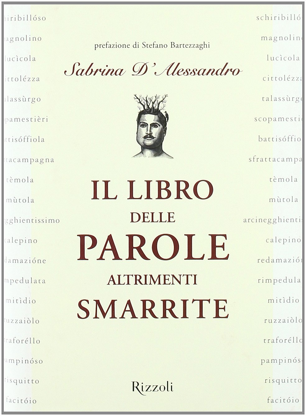 Il libro delle parole smarrite