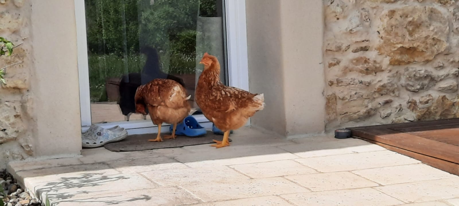 devine qui vient dîner ce soir?