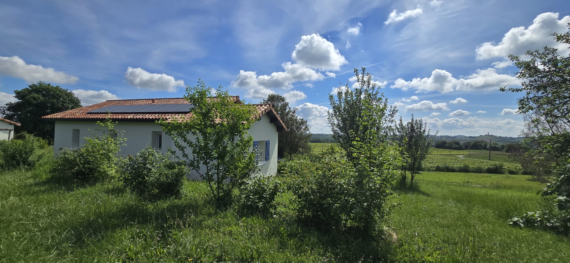L'environnement