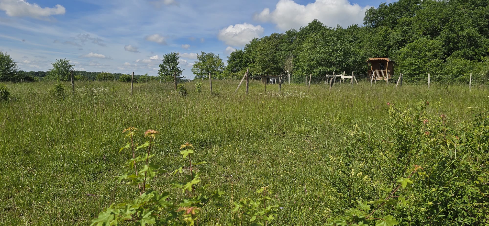 Environnement avec, au fond, notre roulotte